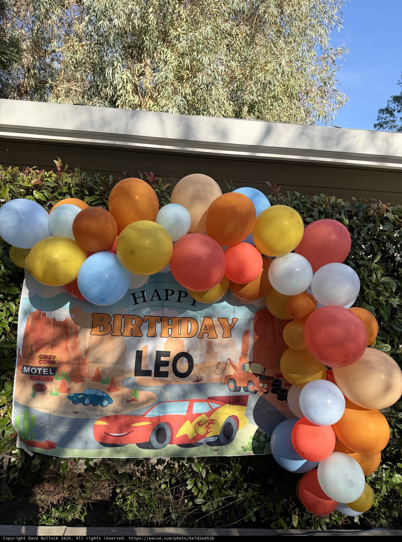 Colorful Birthday Celebration Setup for Leo