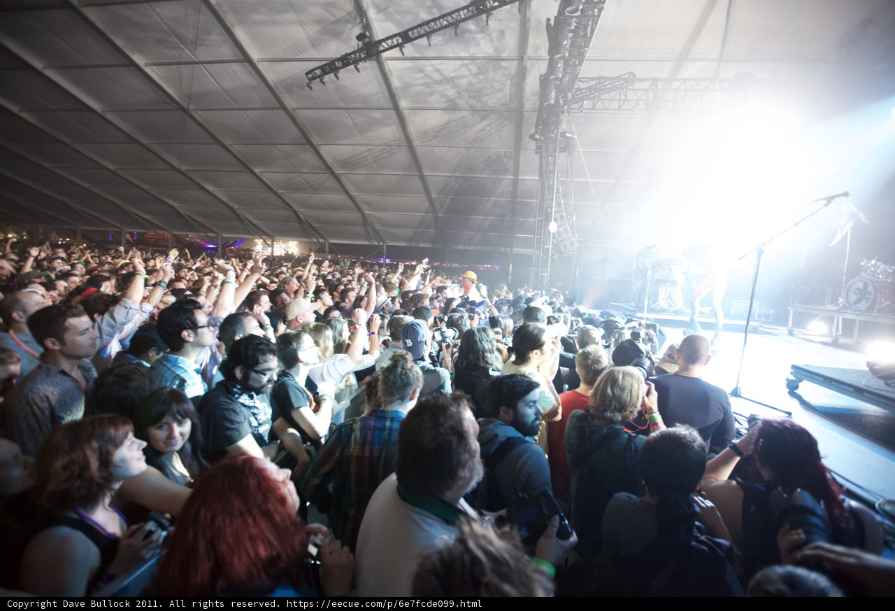 The Crowd Comes Alive