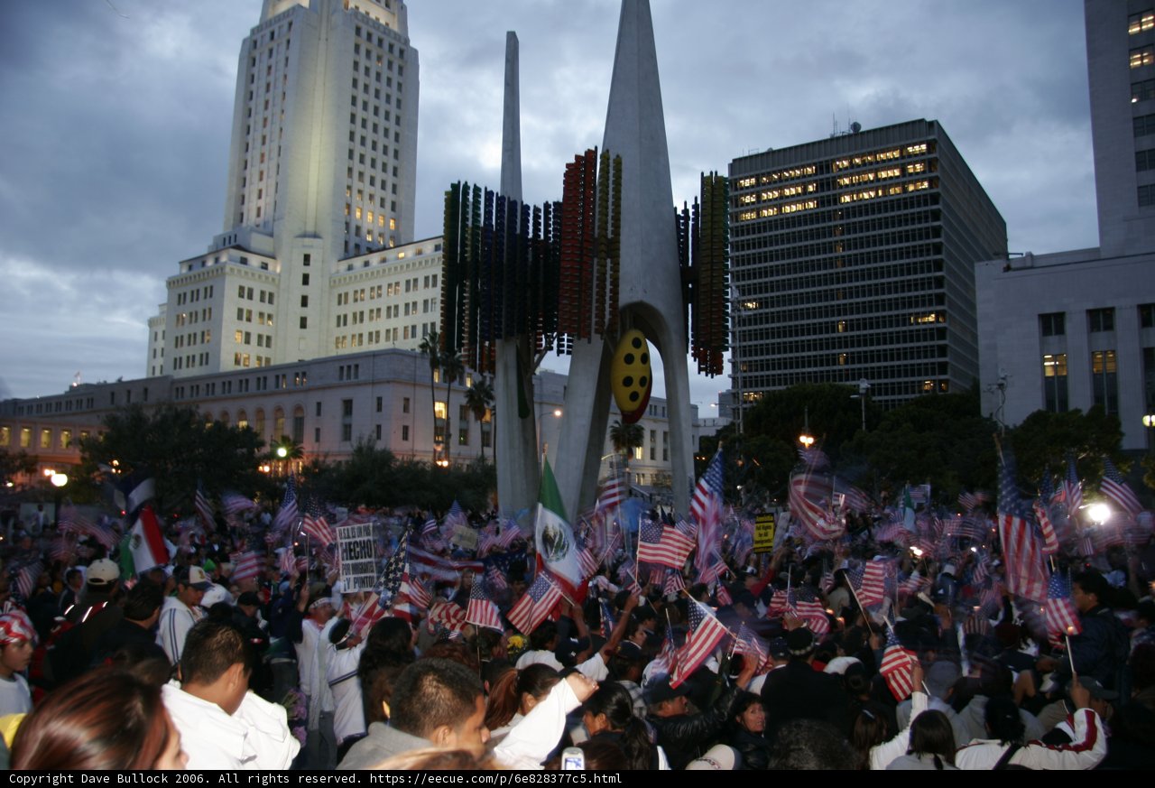 Patriotic Protesters in Metropolis