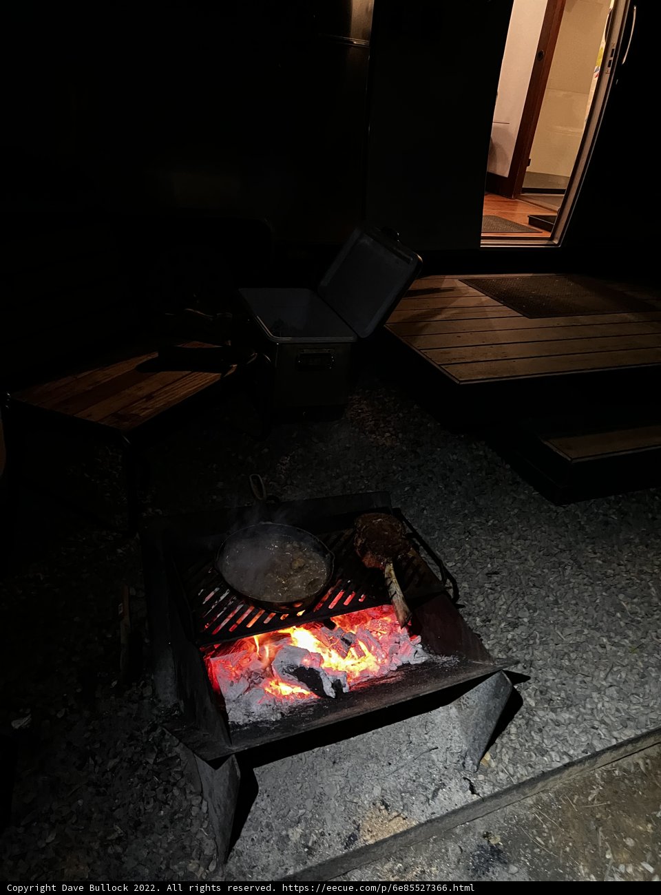 Grilling in the Heart of the Forest