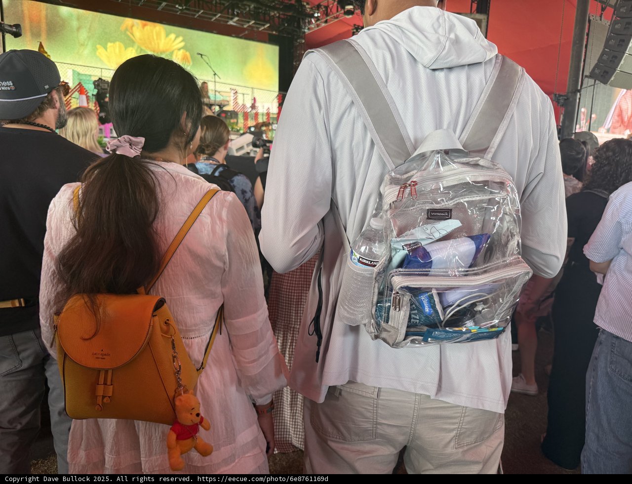 Capturing Coachella: Festival Essentials