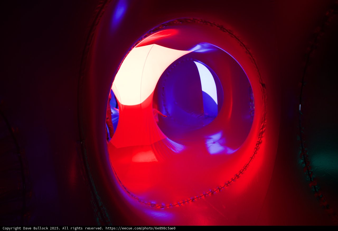 A Vivid Portal to Play