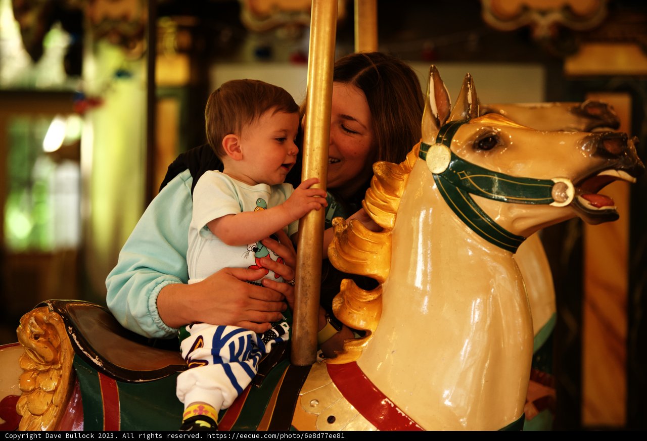 Carousel Adventures at SF Zoo