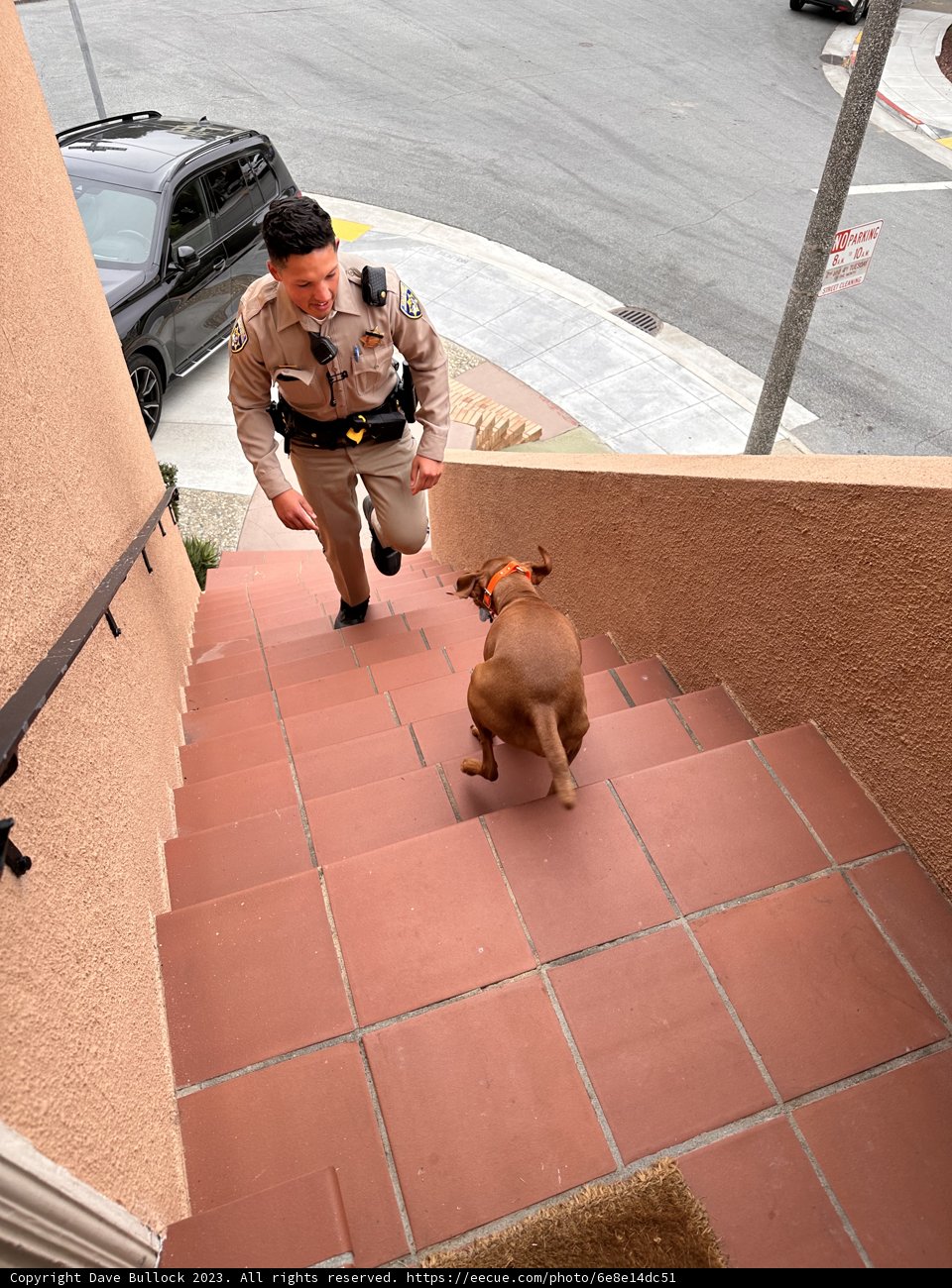 Guardian of the City: Man and His K9 Partner