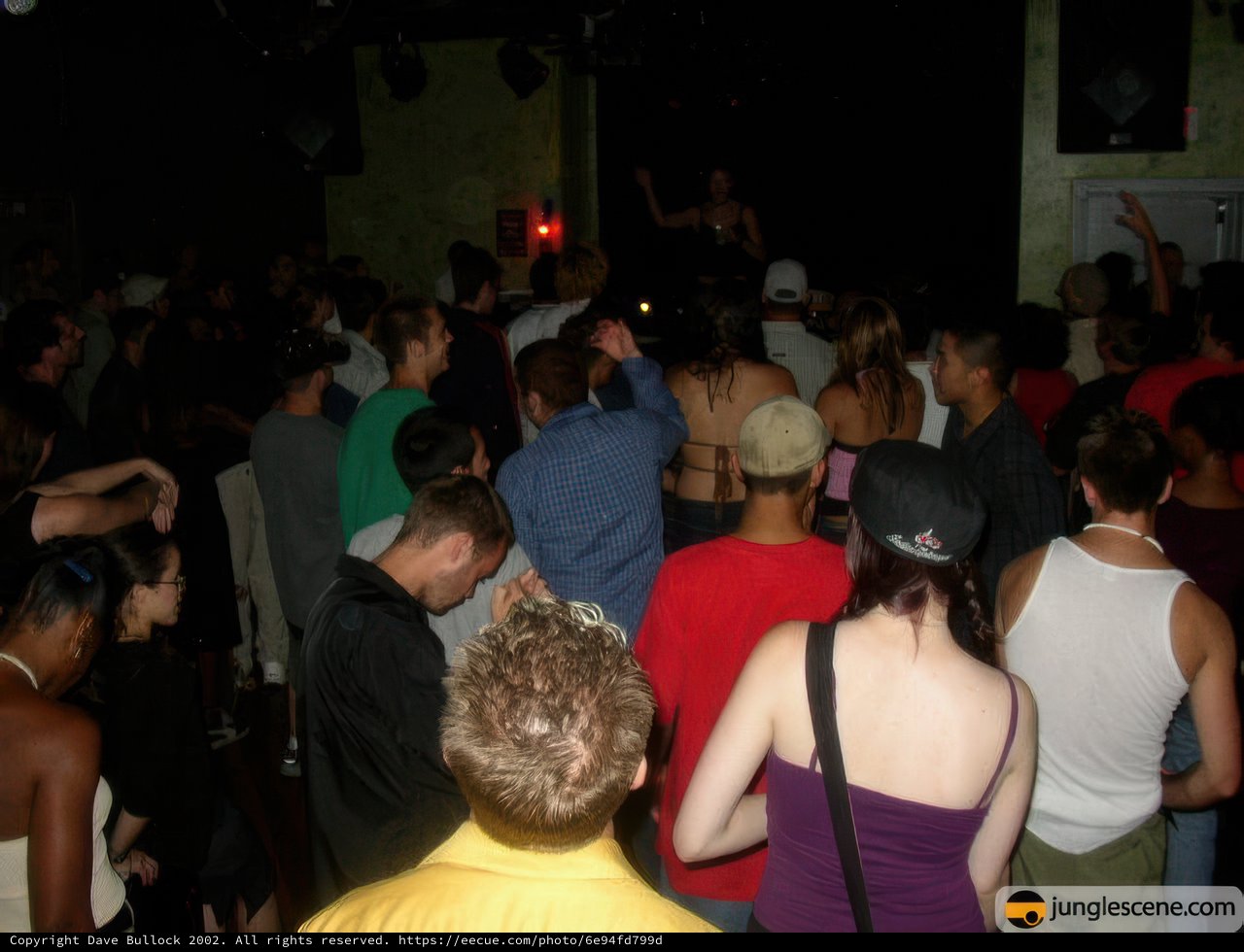 Nightclub Crowd Gets Groovy