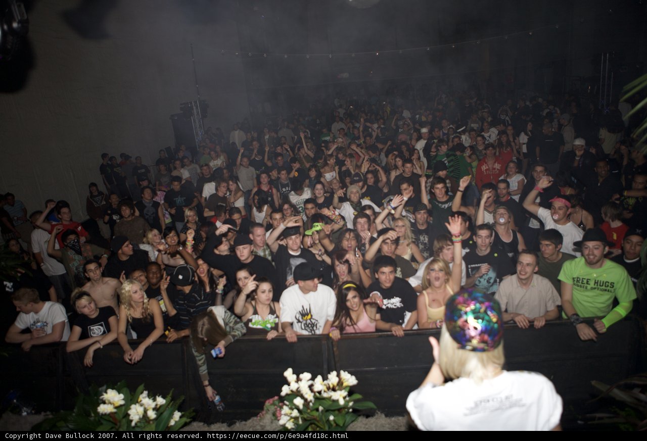 Urban Crowd at Concert