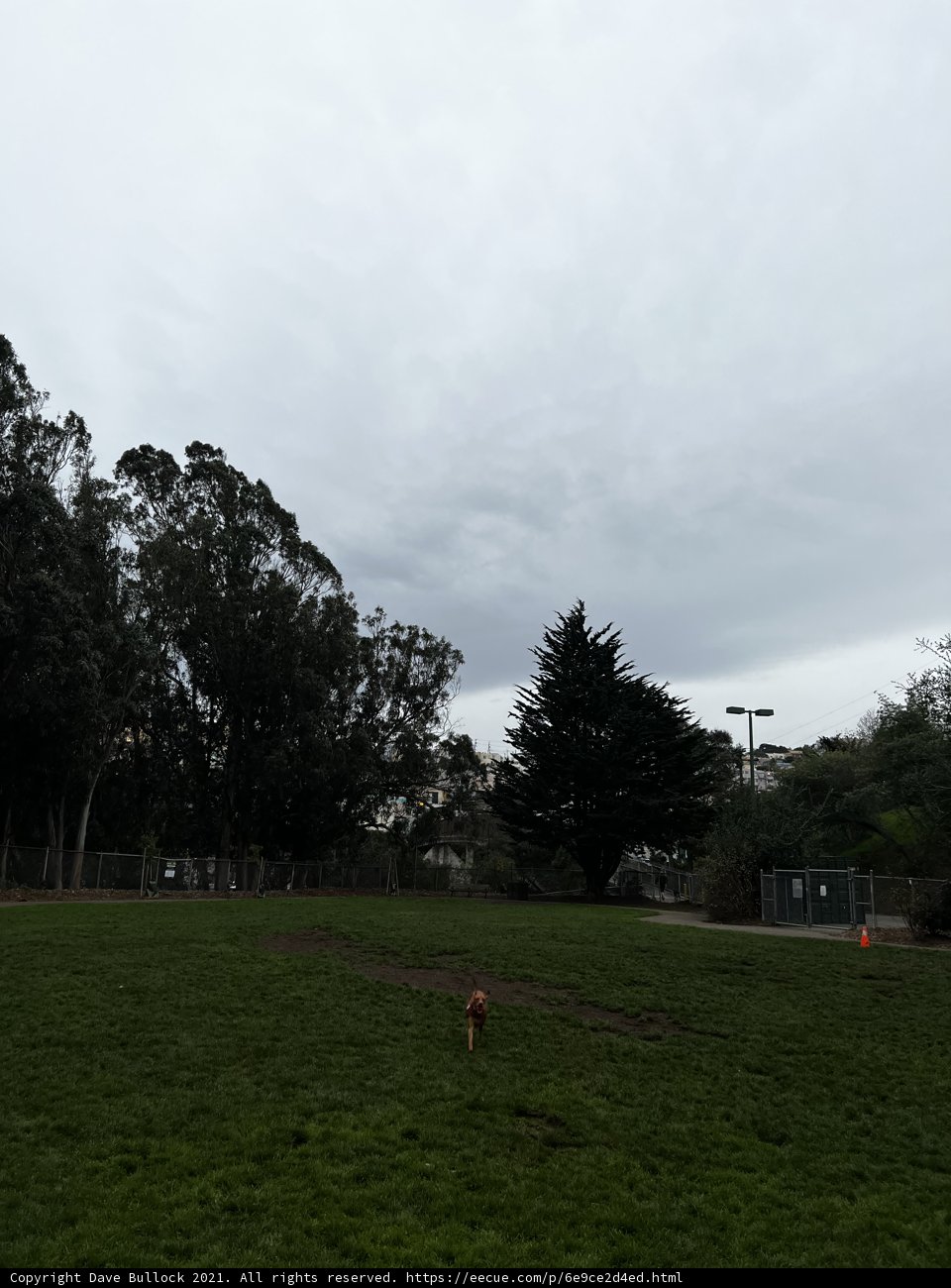 A Serene Day in the Park