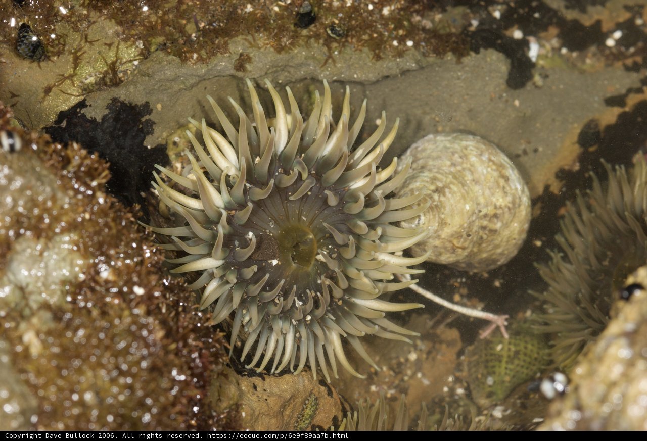 Underwater Treasures