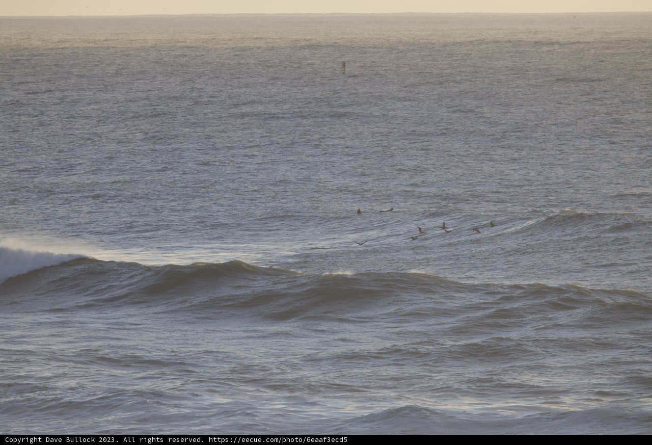 Embracing the Waves: A Surfing Soiree
