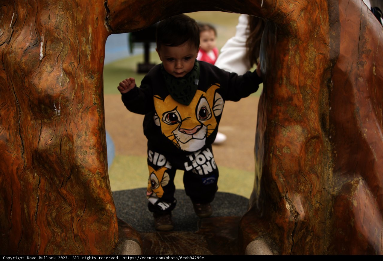 A Jungle Adventure at SF Zoo, 2023