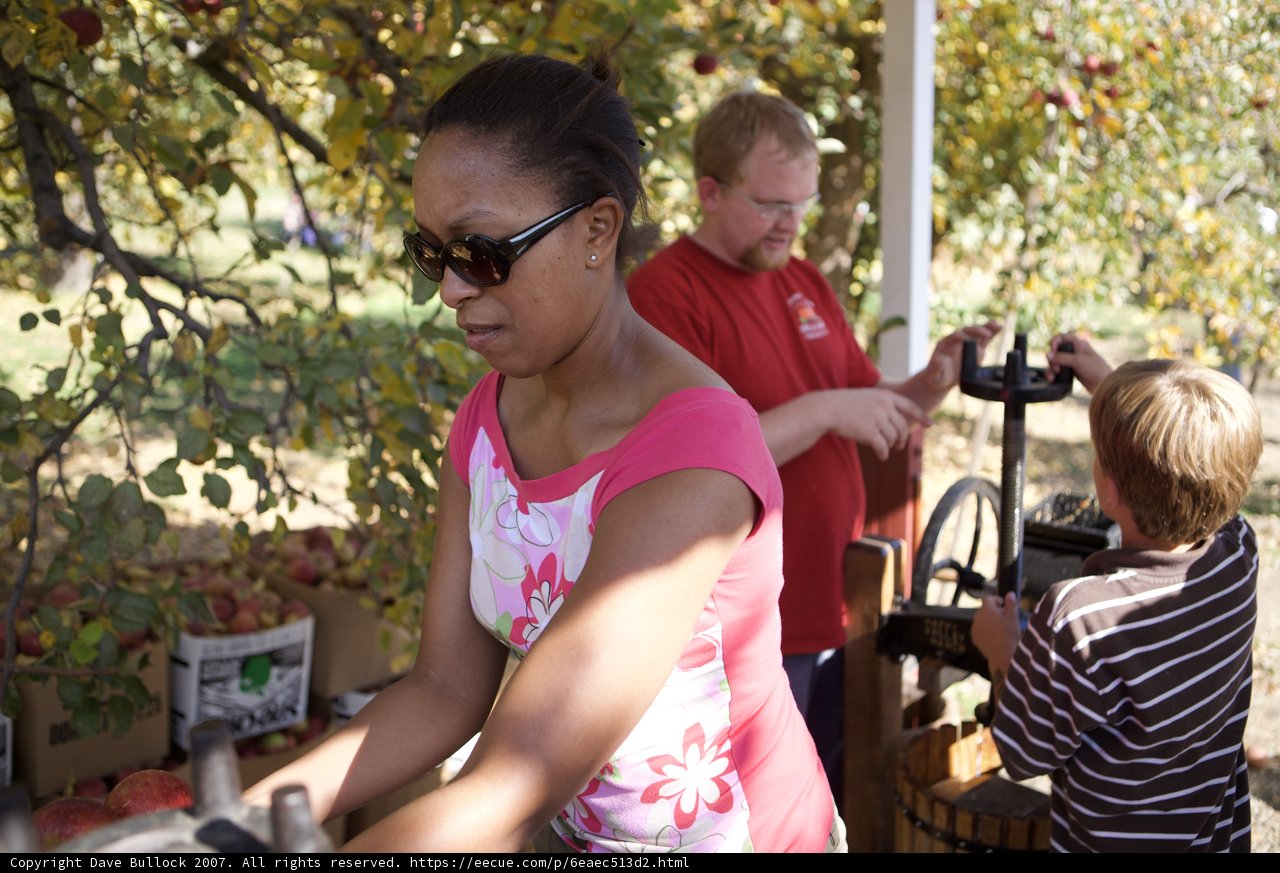 Apple Picking Fun
