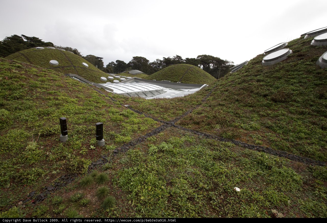 The Green Roof of the New York Academy of Sciences