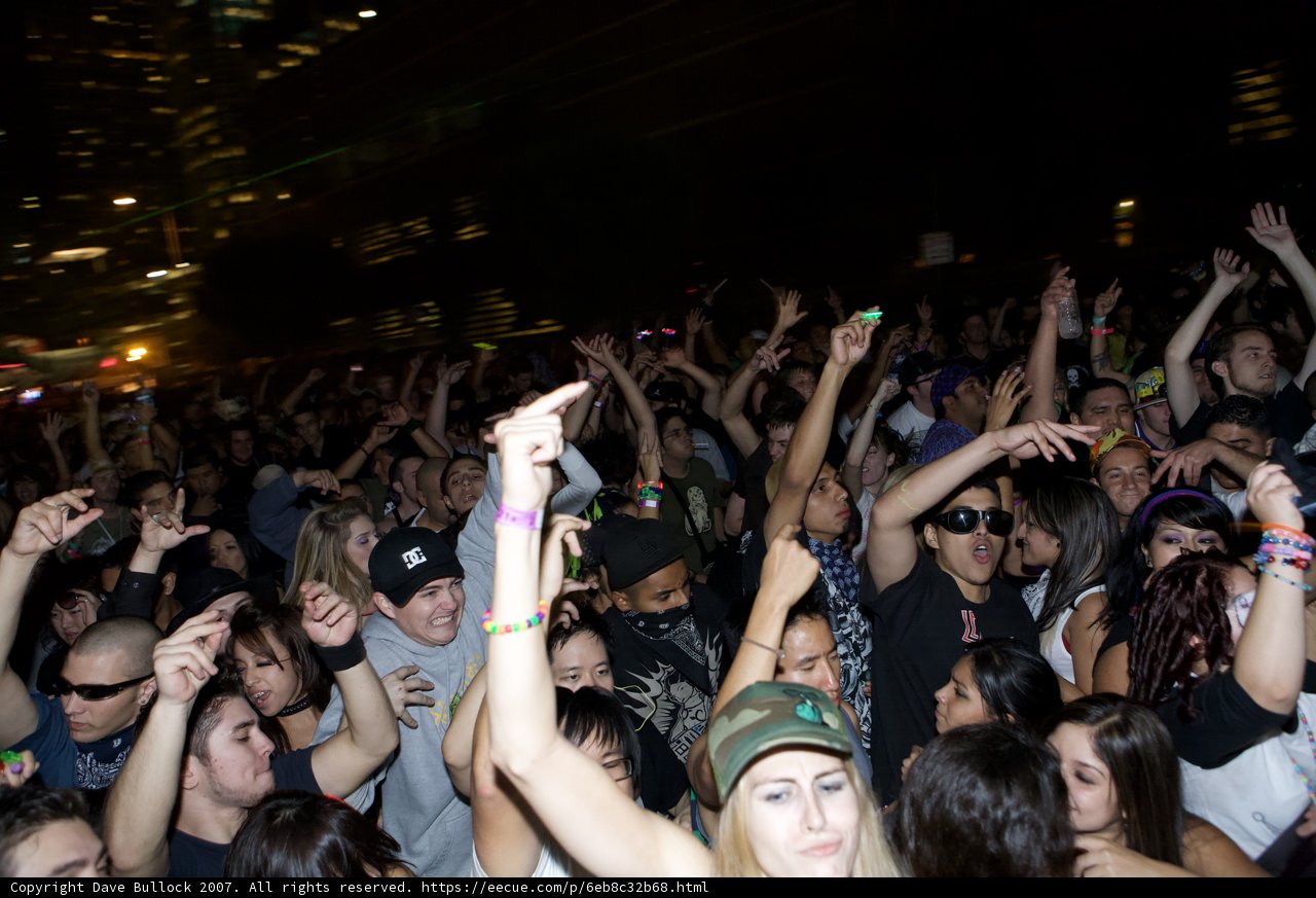 Nocturnal Crowd Excitement