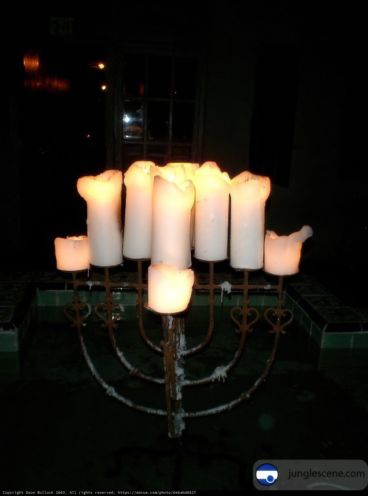 Festival of Light by the Pool