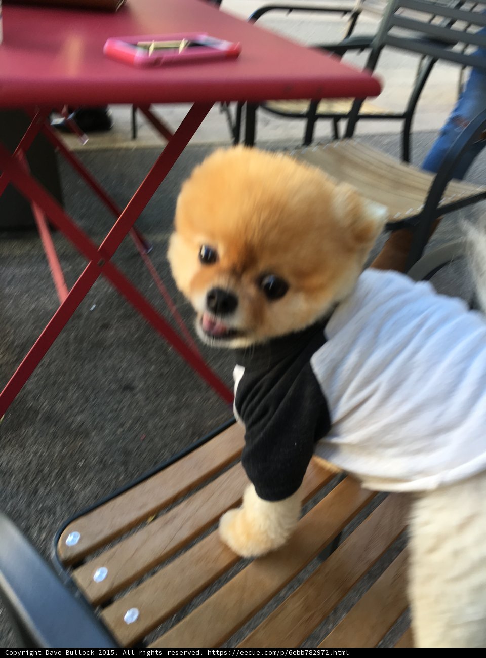 Jiff In Sweater
