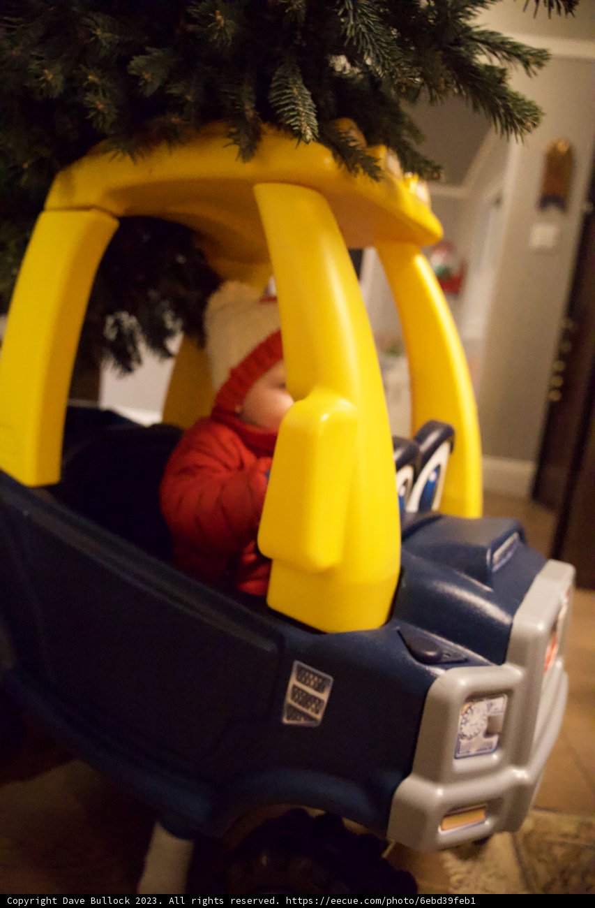 Wesley's Festive Wheels in Motion