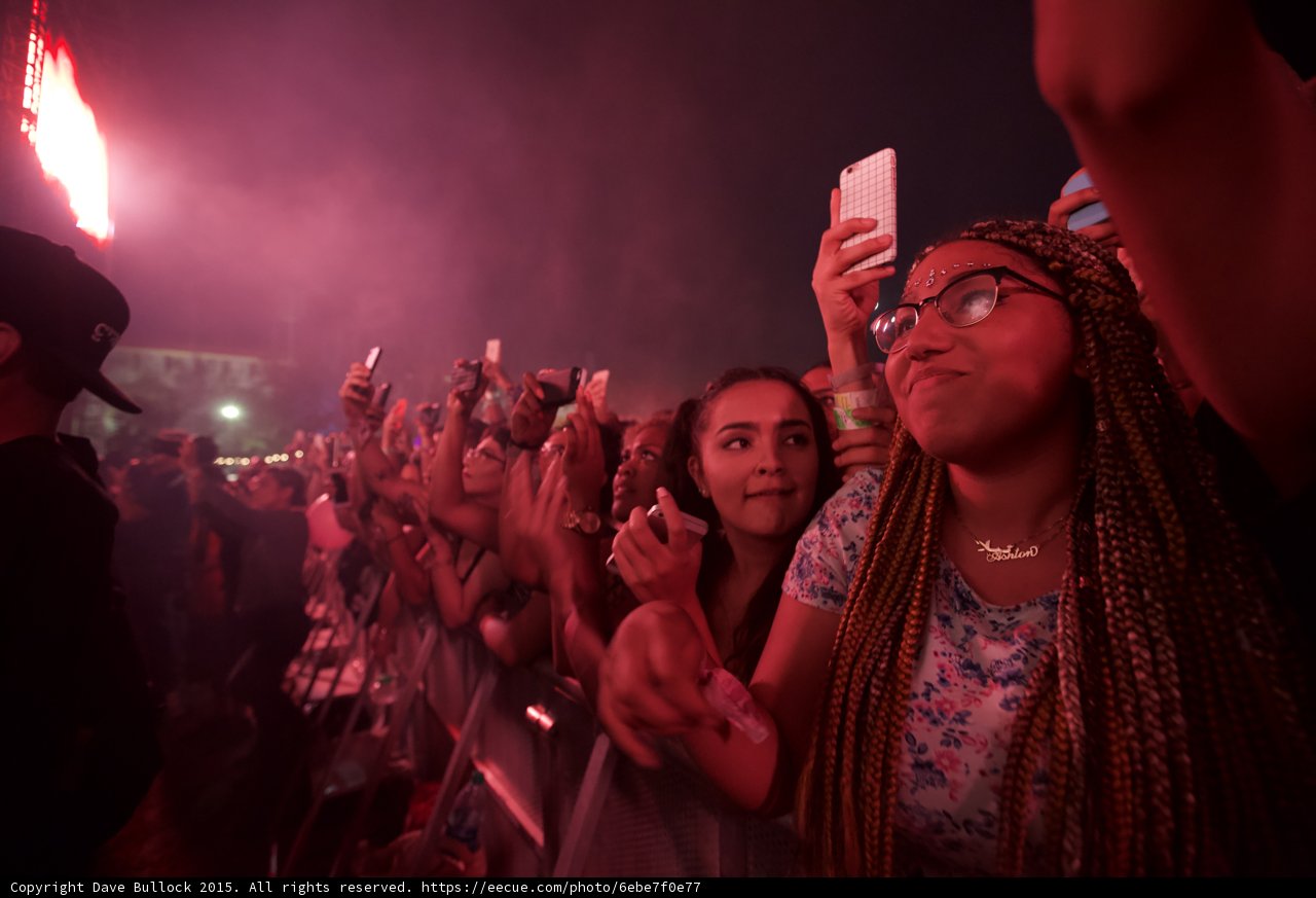 FYF Fest Front Barrier Woman Box Braids Glasses Floral Shirt Gold Necklace Phone Ecstatic Purple Pink Smoke