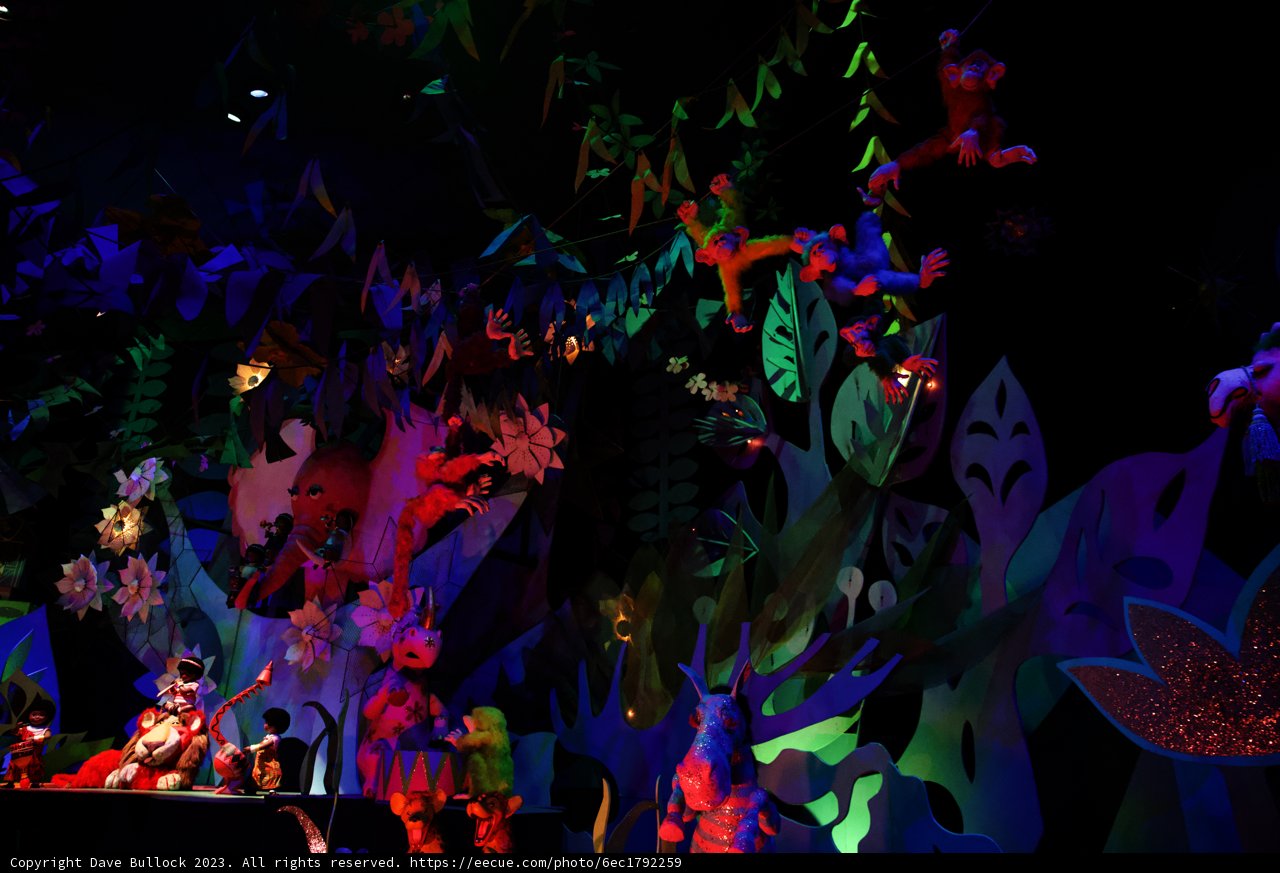 Magical Moments in Mickey Mouse Land