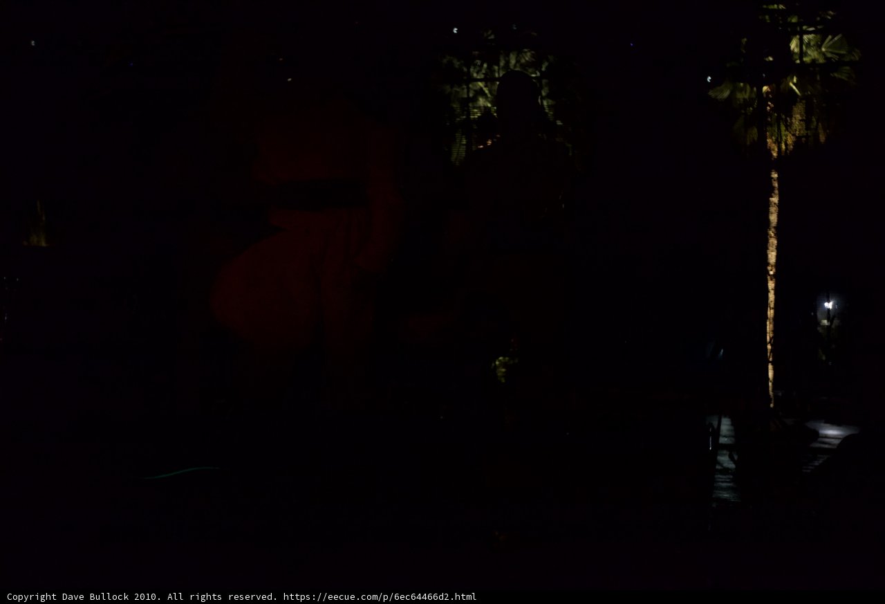 Palm Tree Silhouette in the Night
