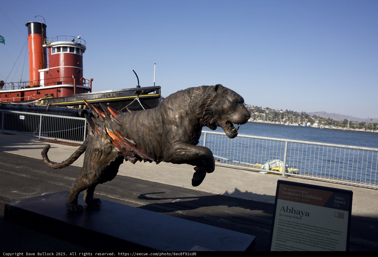 Nautical Artistry at Maker Faire 2025