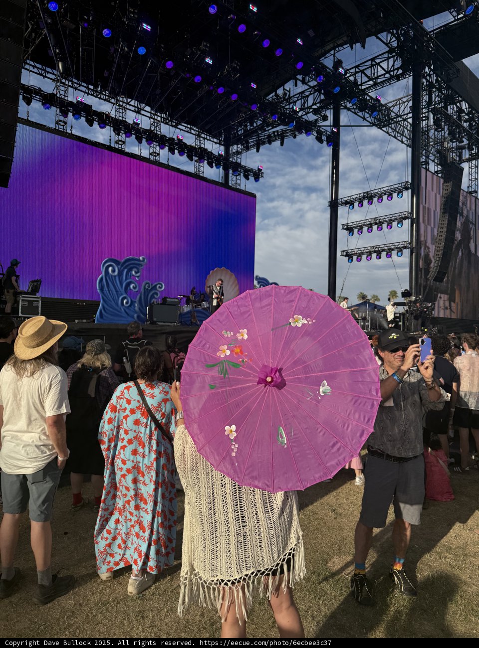 Vibrant Moments at the Festival