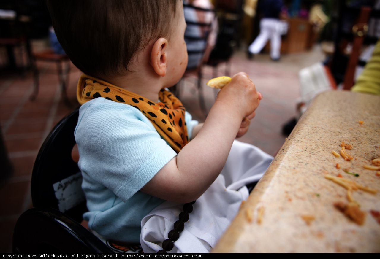 Little Foodie's Adventure at Disneyland