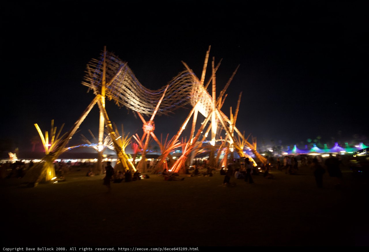 Nighttime Thrills at Coachella