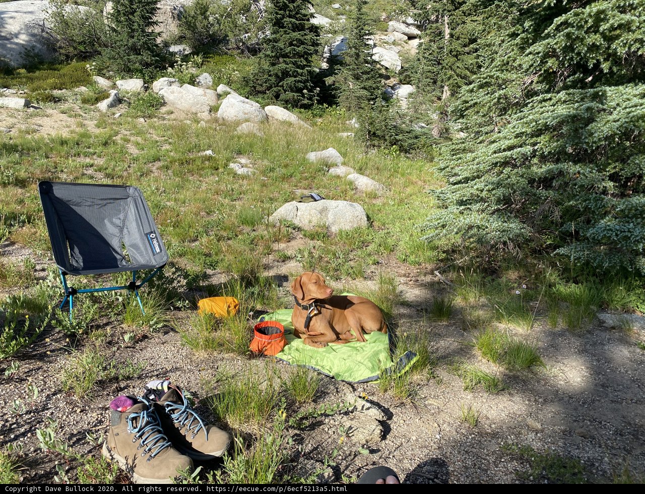 Canine Camper in the Desolation Wilderness