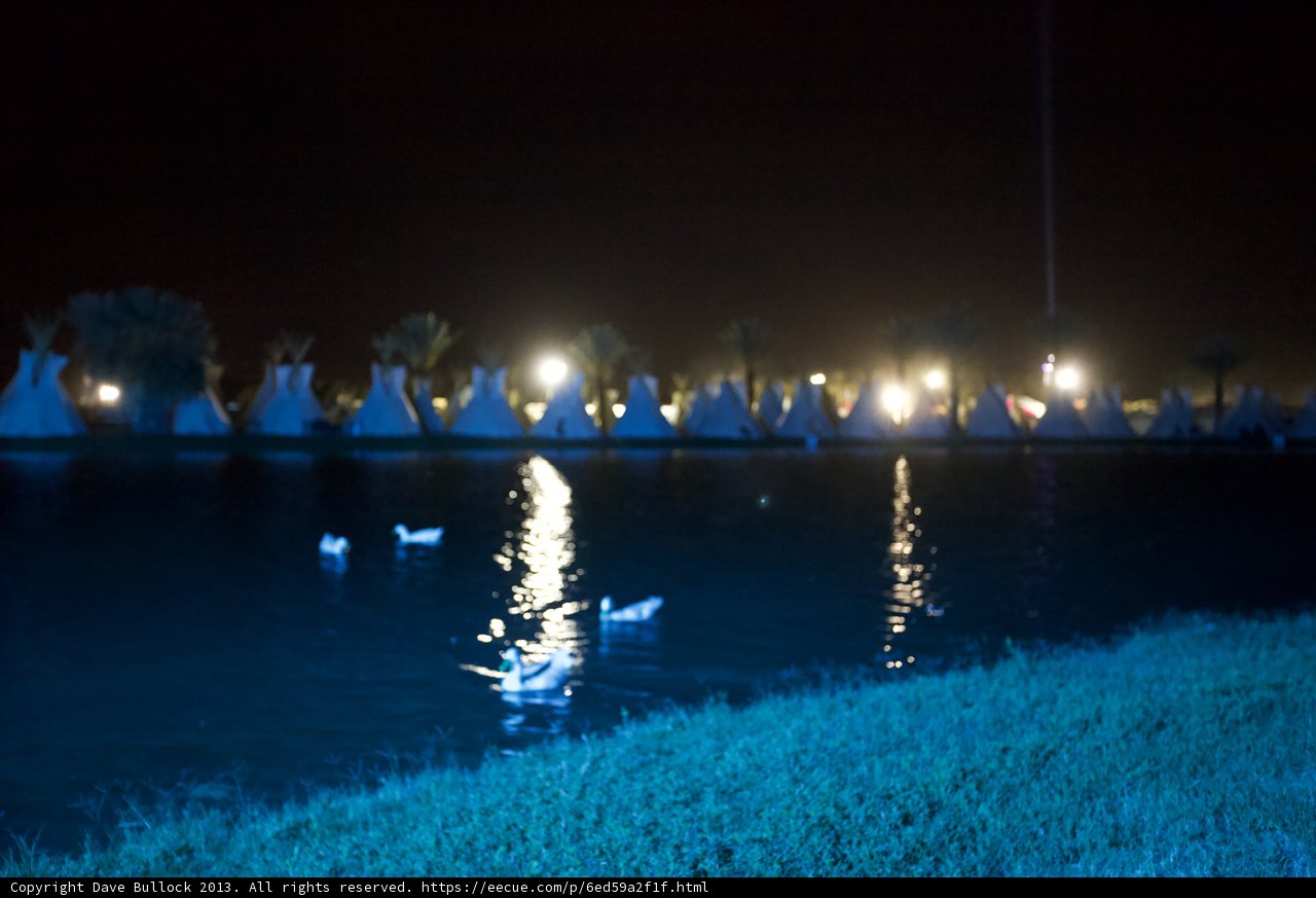Nighttime Reflections