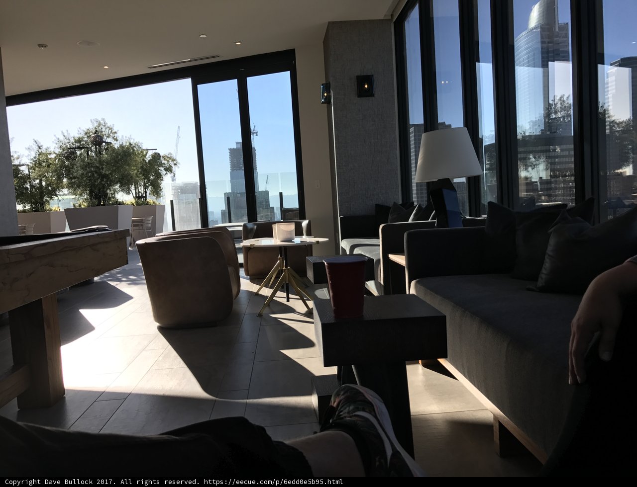 A Relaxing View from the Living Room