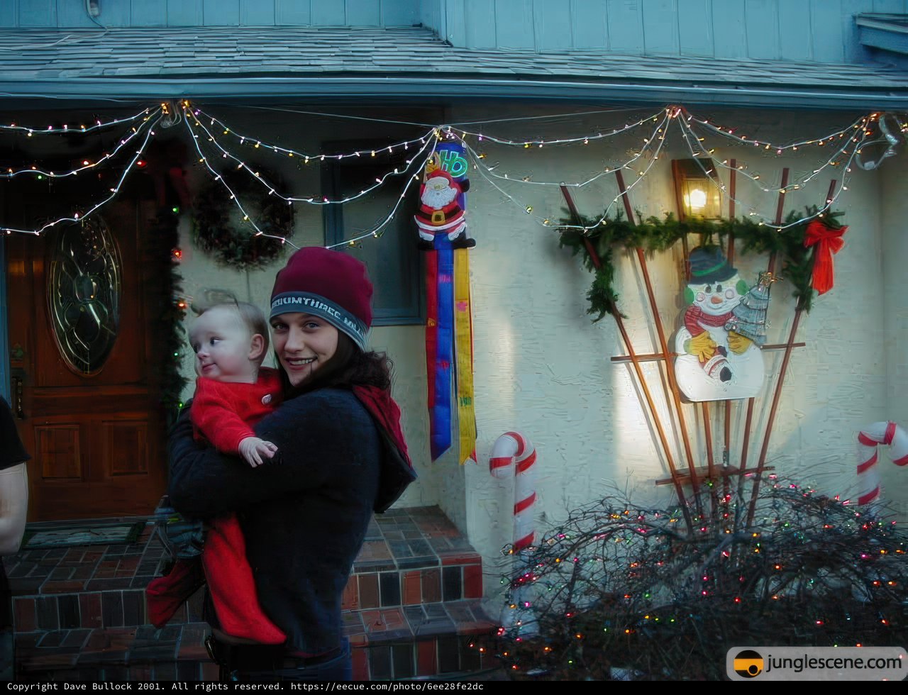 Christmas Cheer in Front of the House