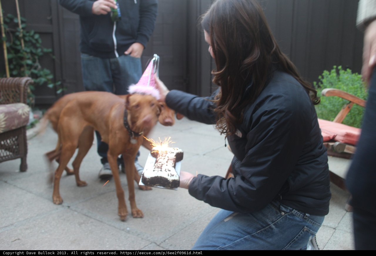 Birthday Celebration with Loved Ones