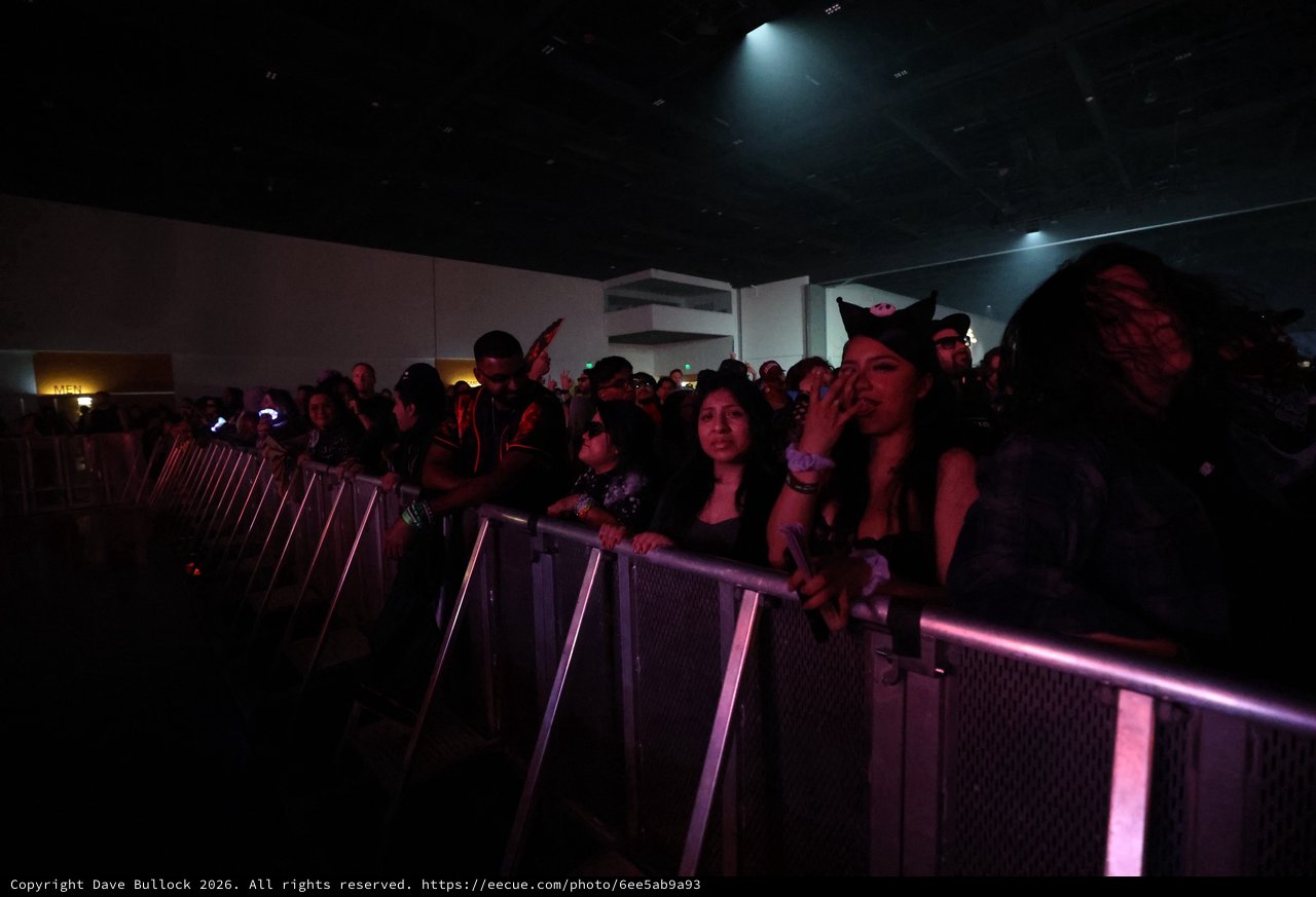 Crowd Presses Forward at Wobbleland Festival 2026