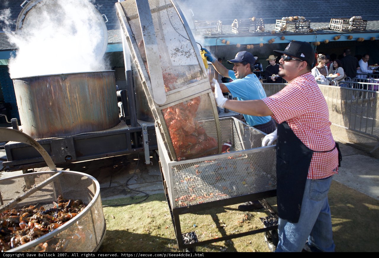 Grilling at the Lobster Festival