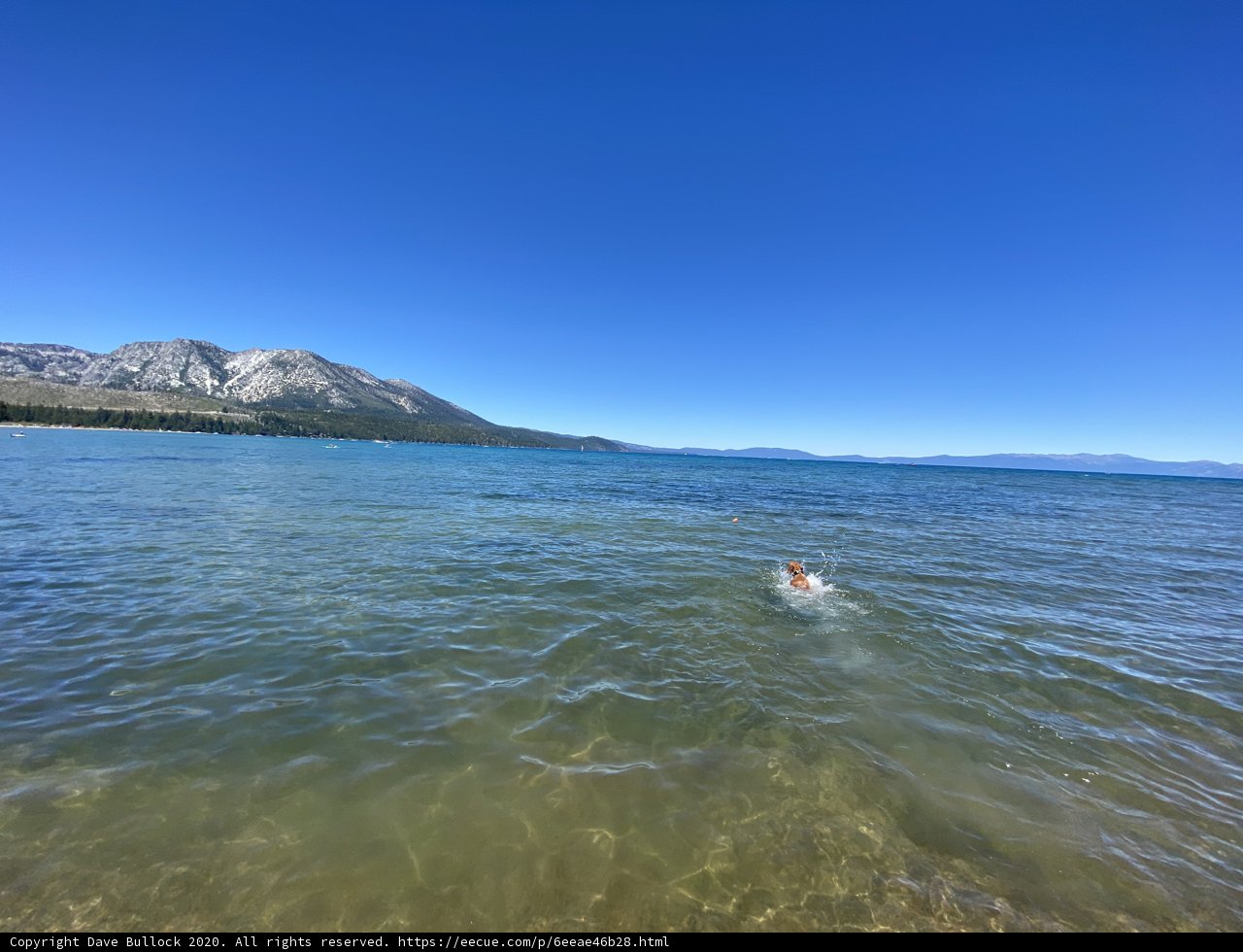 Swimming in the Majestic Mountains