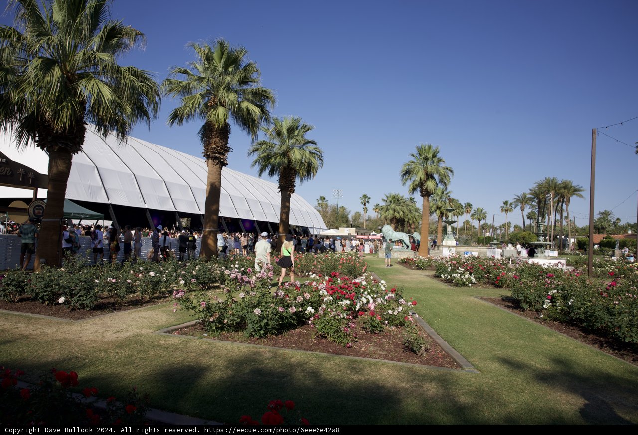 Blooming Festival Vibes: Coachella 2024 Weekend 2