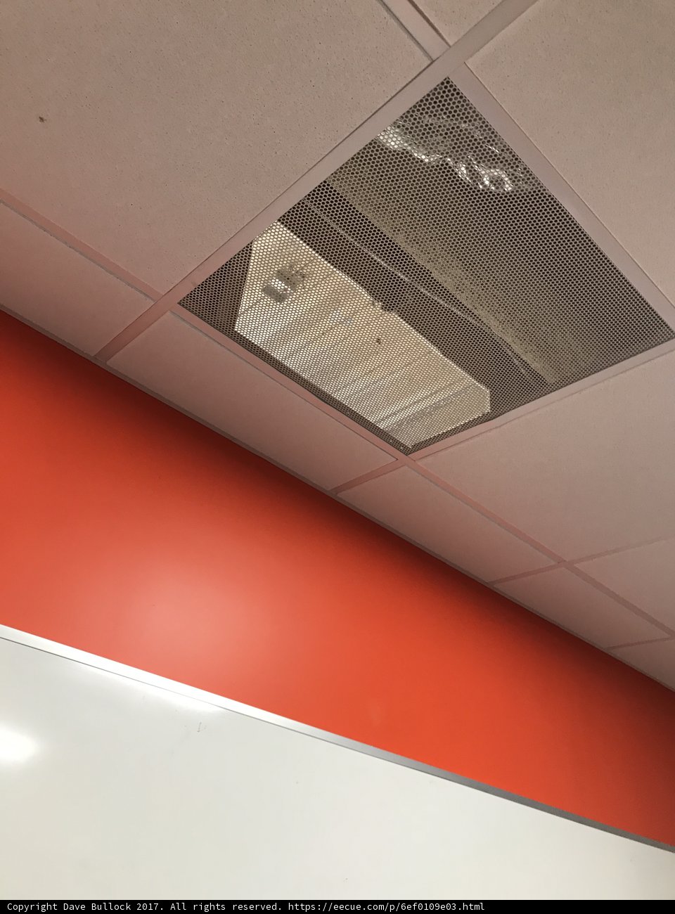 Serene Beach Ceiling