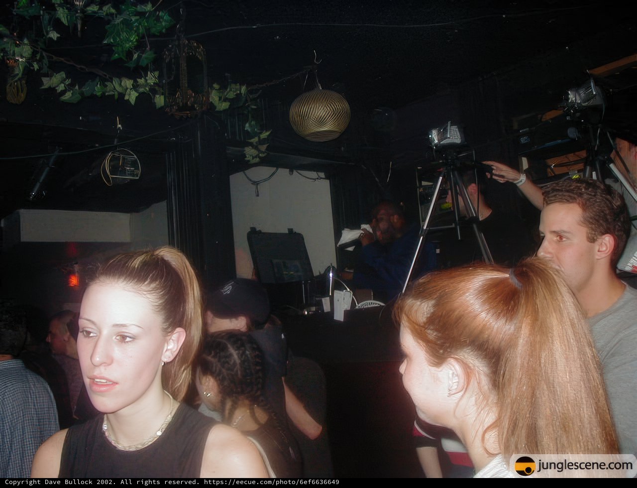 Nightclub Gathering