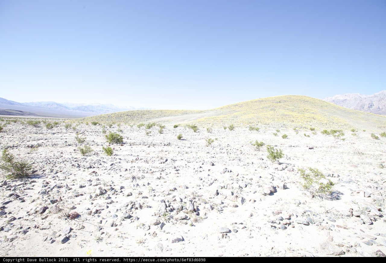 Desert Scenery with Rocks and Trees