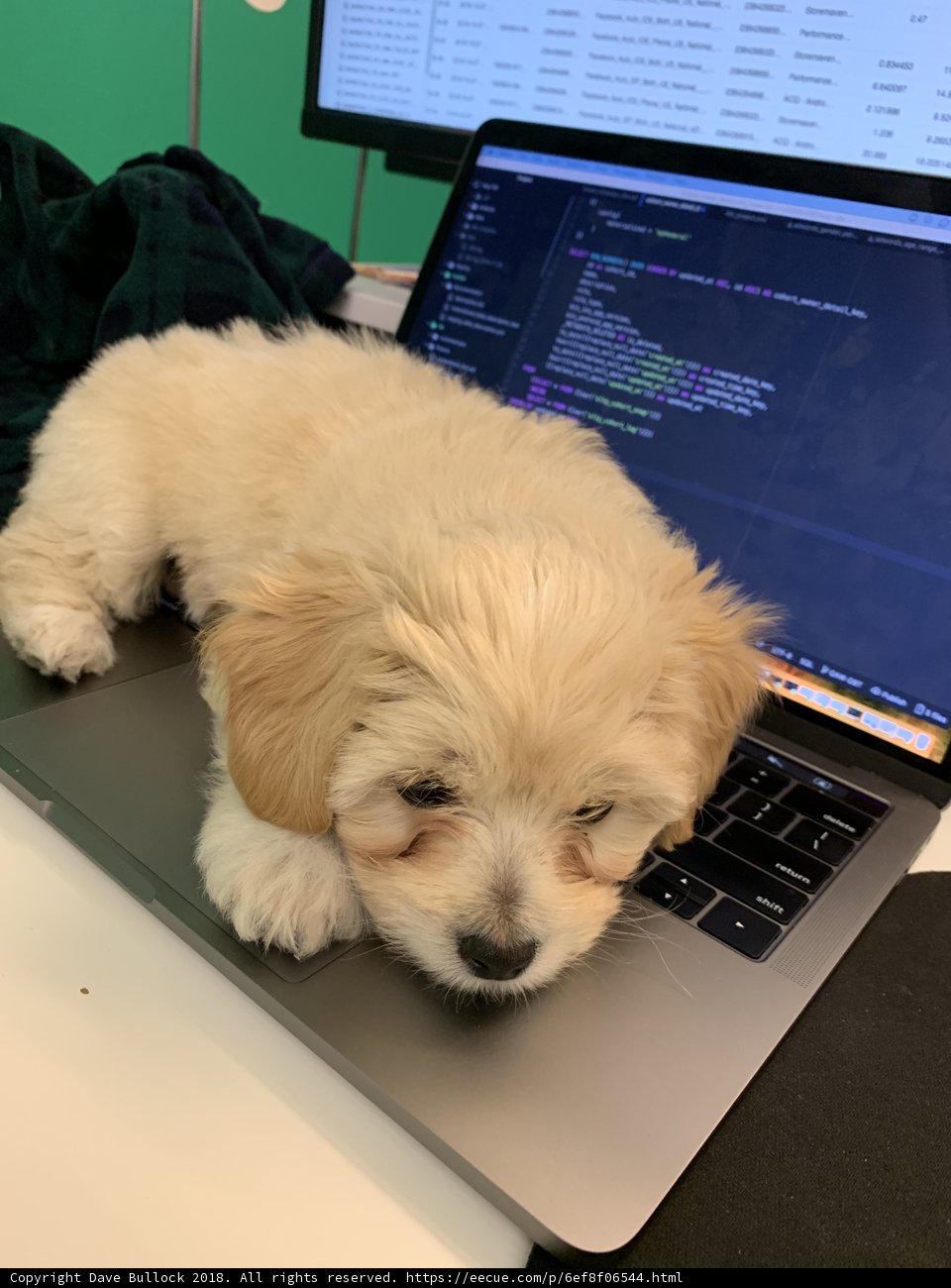 The Laptop's New Best Friend