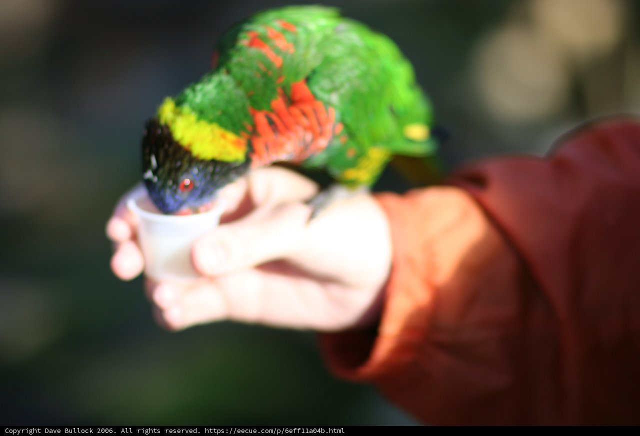 Gentle Hold