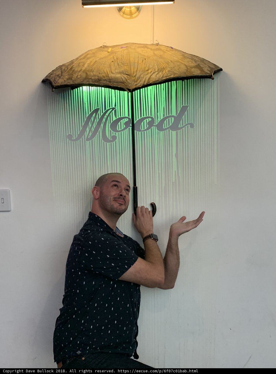 A Rainy Day Smile