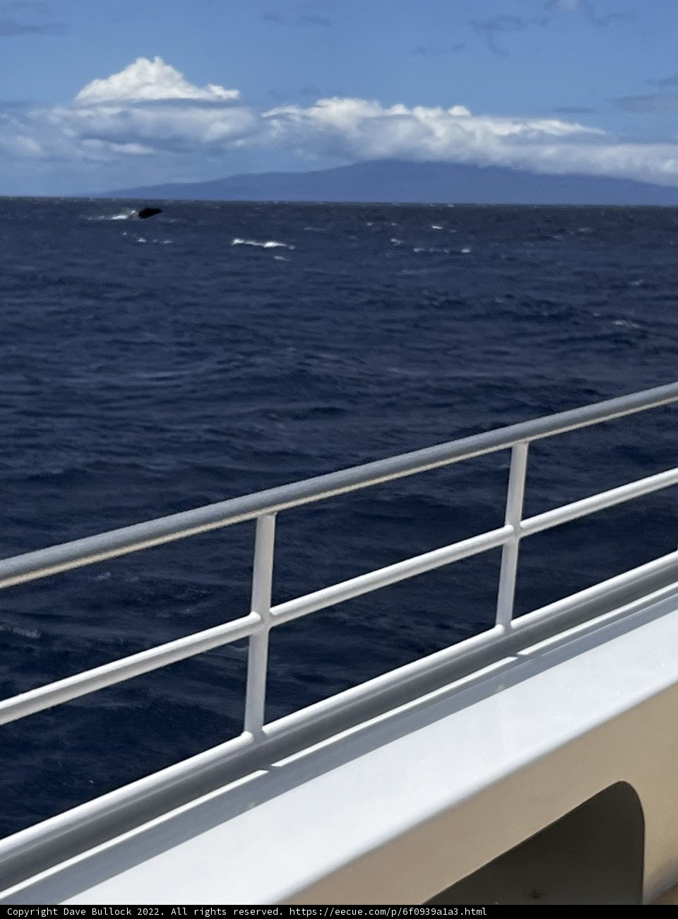 Horizons on the Blue Waters