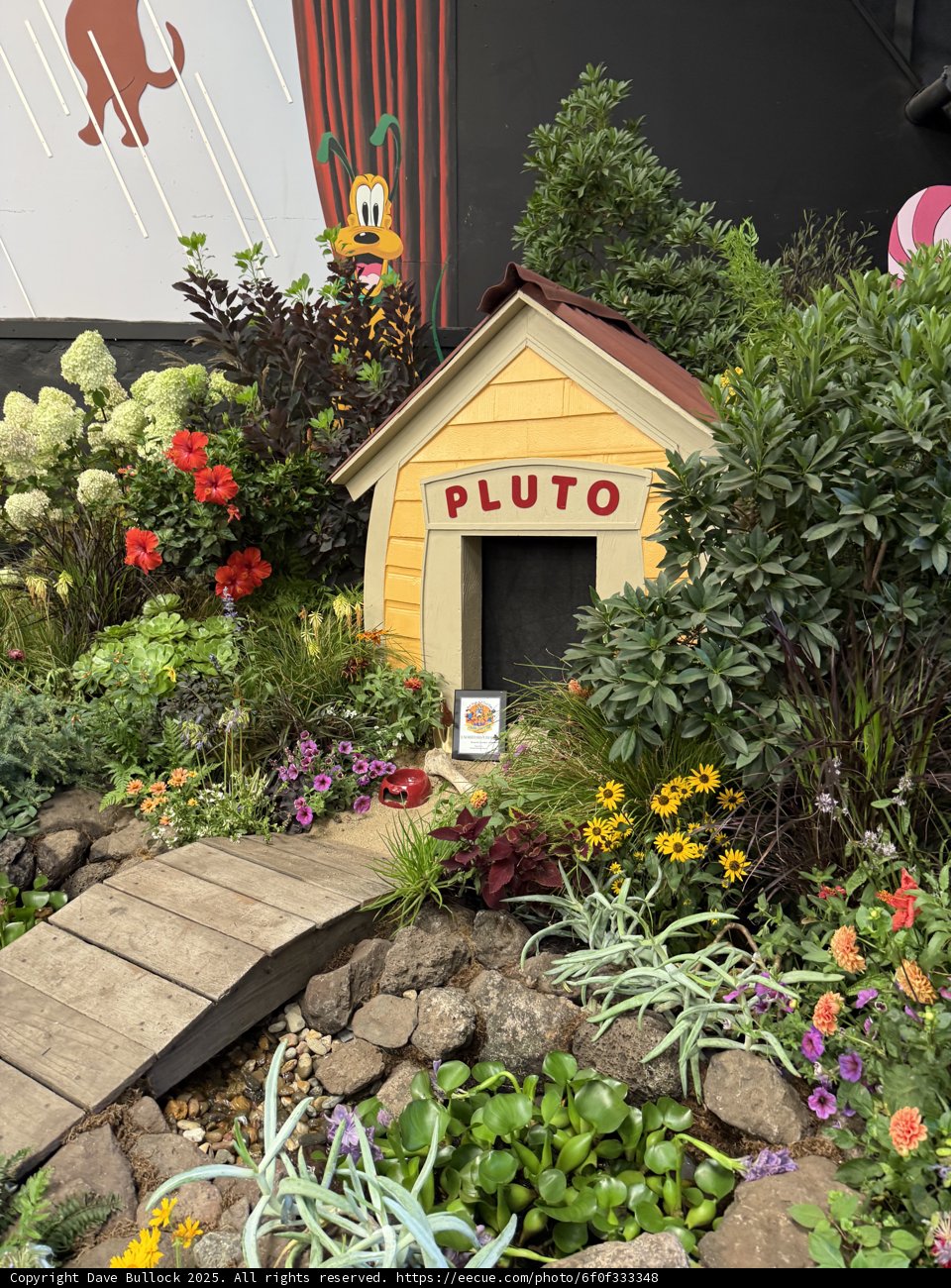 Whimsical Garden Retreat