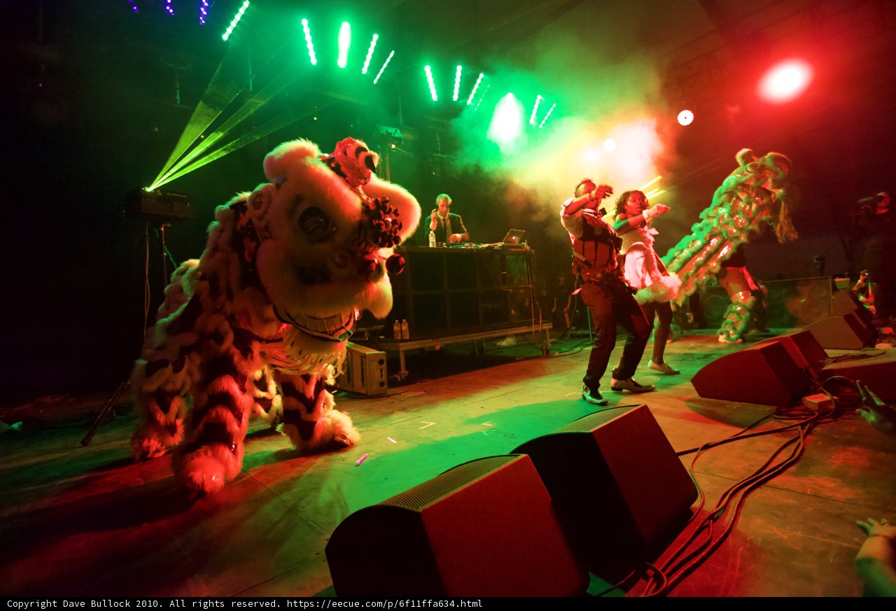 The Lion's Roar