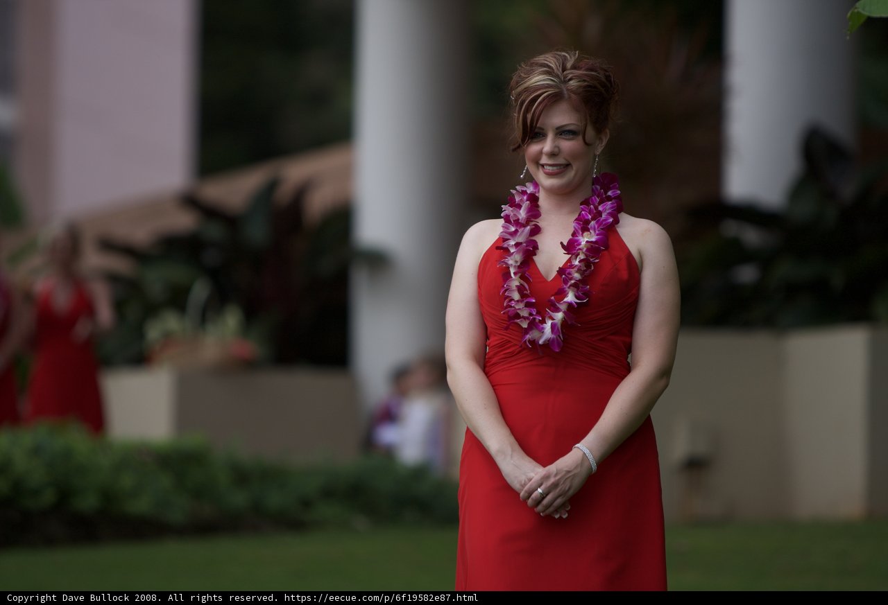 Red Dress Glamour