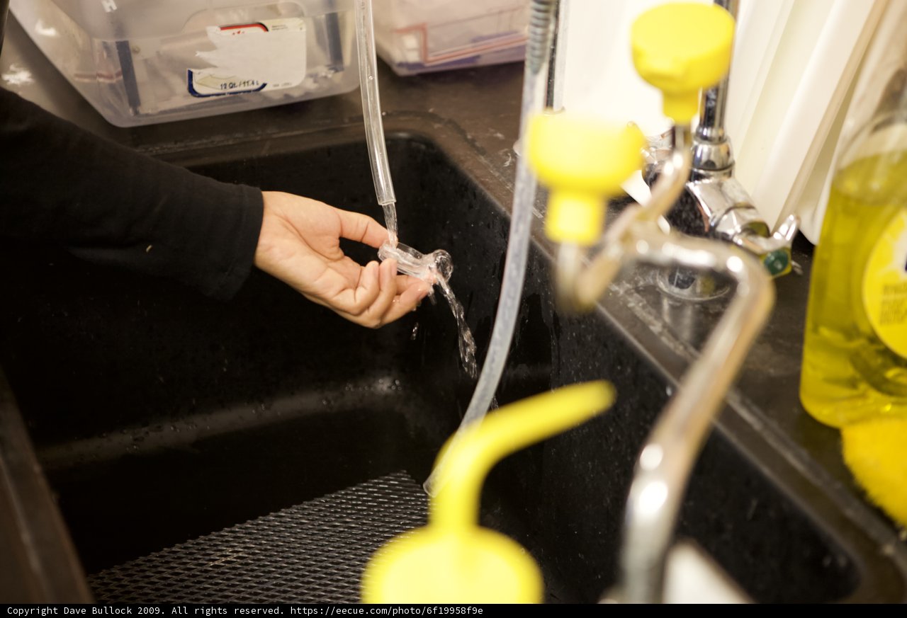 Washing Hands in the Kitchen