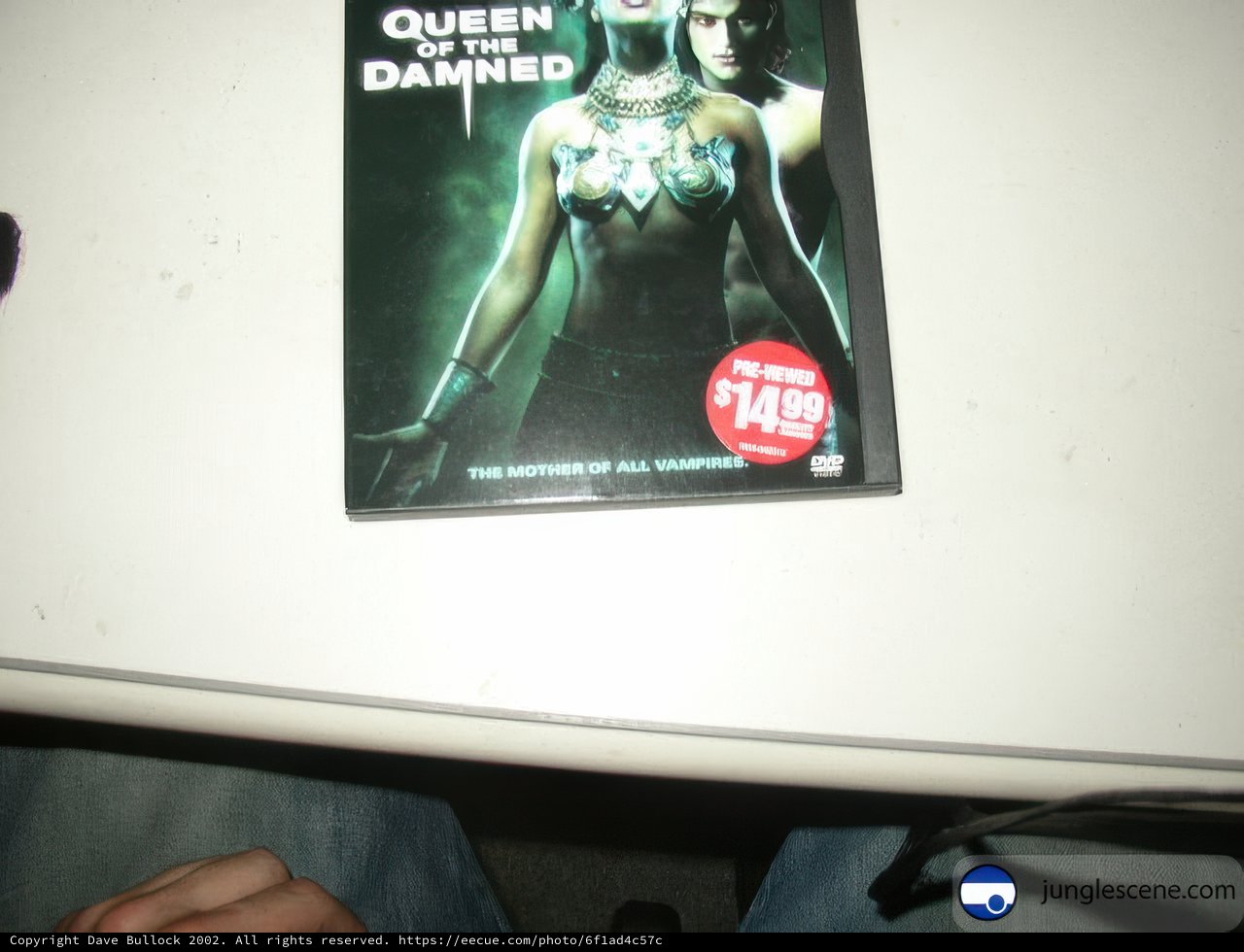 Queen of the Damned DVD in vintage eBay find
