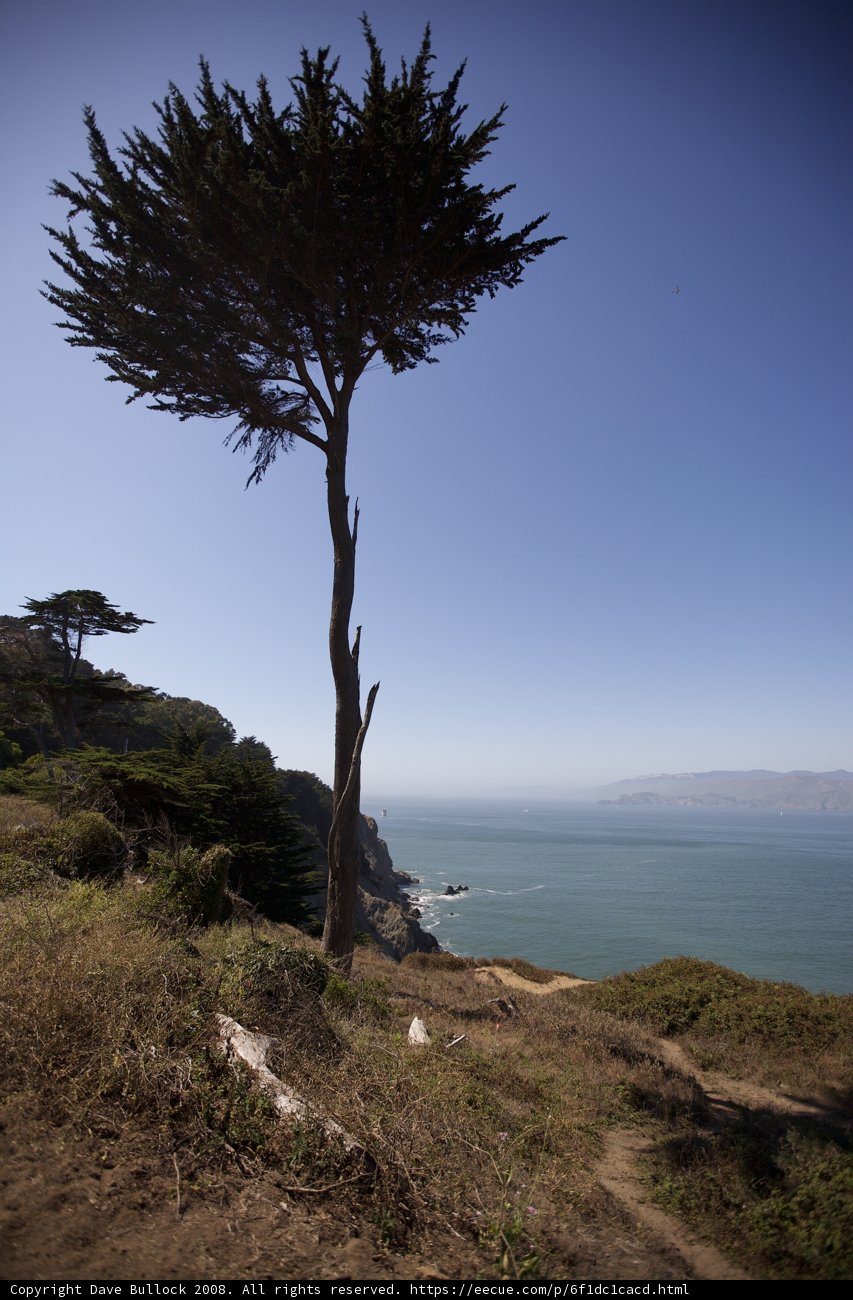 Solitude on the Promontory
