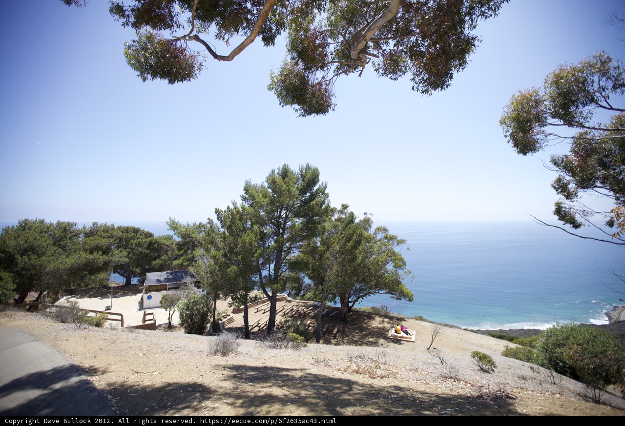 Serene Summer View
